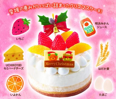 愛媛のこだわりレアチーズケーキ 商品のご案内